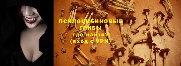 молекула духа Алзамай