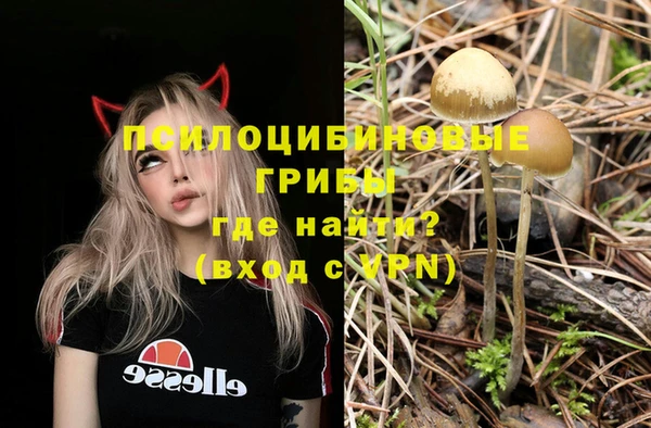 молекула духа Алзамай